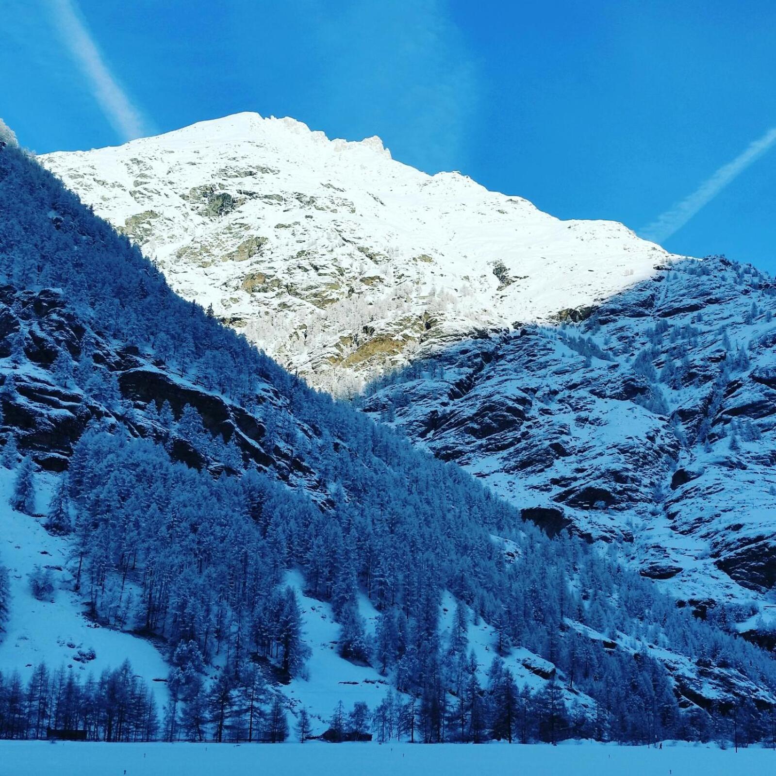 Monte Rosa Taesch, Apartments Mit Wellness Bereich Exterior foto